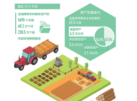 全国农村集体家底摸清了 土地总面积65.5亿亩